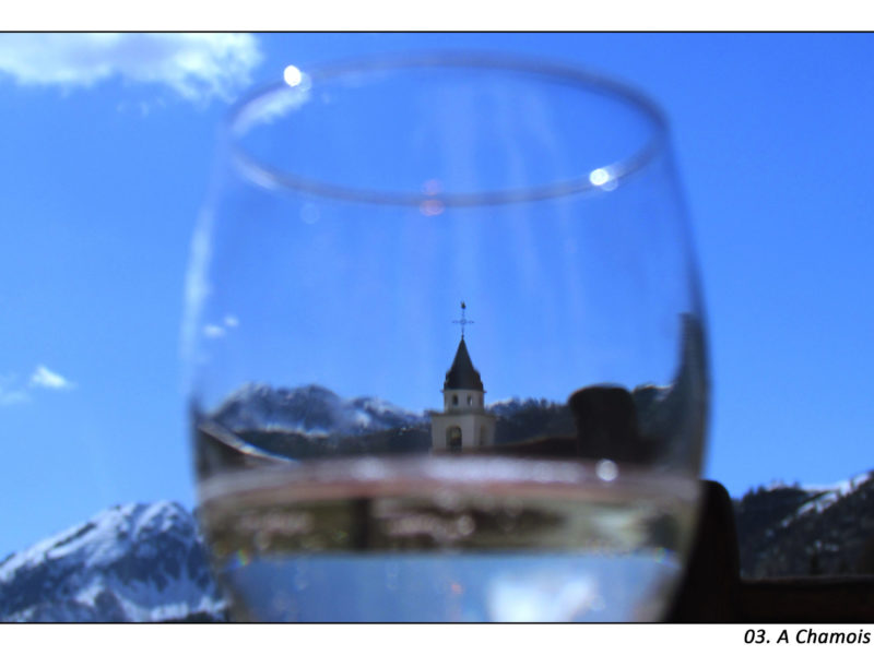 Newsletter N° 3  Marzo 2023