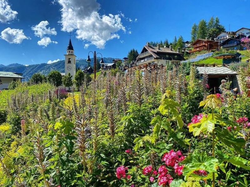 Programma  degli eventi estivi di Insieme a Chamois