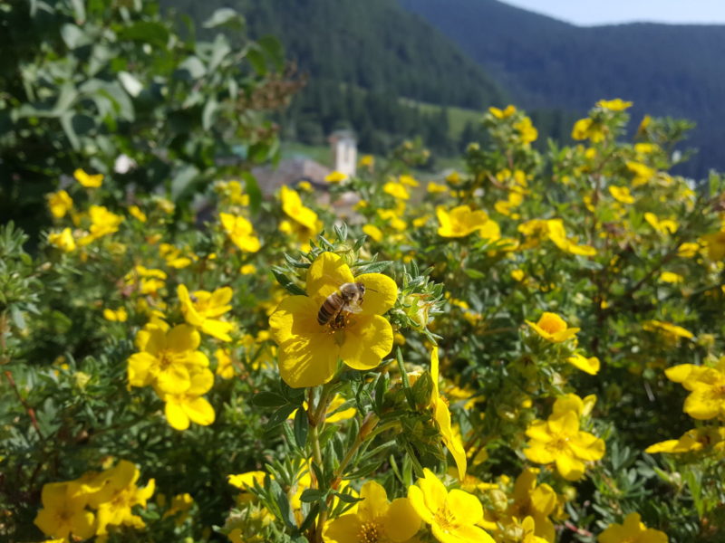 La newsletter di  Maggio 2023
