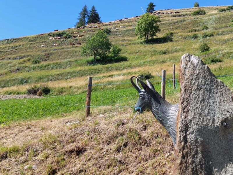 Newsletter di Agosto 2023